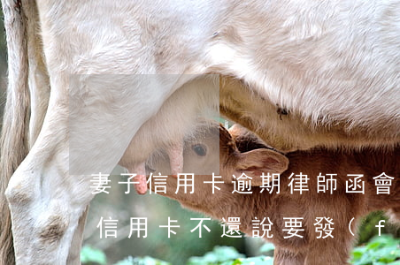 妻子信用卡逾期律師函會發(fā)哪里(欠信用卡不還說要發(fā)律師函、控告函)